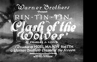 Famous trivia from Hollywood movie : Clash of the Wolves (1925)