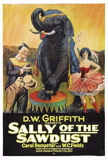 Famous trivia from Hollywood movie : Sally of the Sawdust (1925)