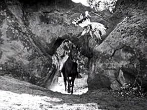 Famous trivia from Hollywood movie : The Devil Horse (1926)