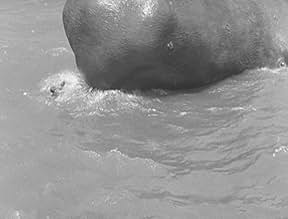 Famous trivia from Hollywood movie : Moby Dick (1930)