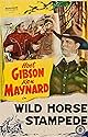 Famous trivia from Hollywood movie : Wild Horse Stampede (1943)