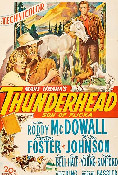 Famous trivia from Hollywood movie : Thunderhead - Son of Flicka (1945)