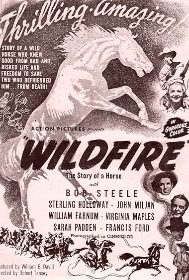 Famous trivia from Hollywood movie : Wildfire (1945)