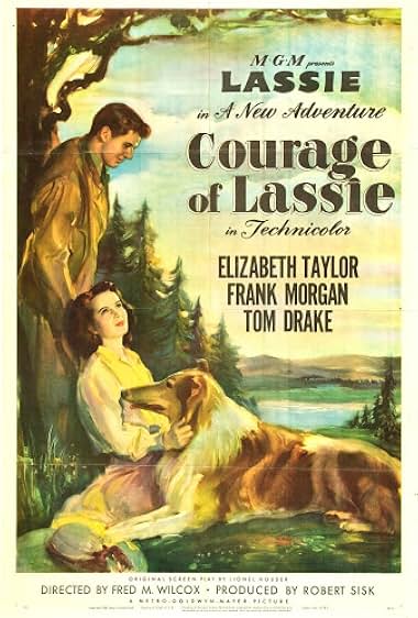 Famous trivia from Hollywood movie : Courage of Lassie (1946)