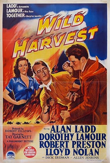 Famous trivia from Hollywood movie : Wild Harvest (1947)