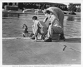 Famous quotes from Hollywood movie : Air Cadet (1951)