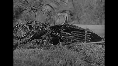 Famous trivia from Hollywood movie : Panther Girl of the Kongo (1955)