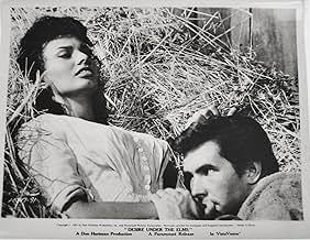 Famous trivia from Hollywood movie : Desire Under the Elms (1958)