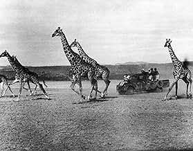 Famous quotes from Hollywood movie : Hatari! (1962)