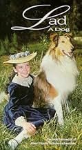 Famous trivia from Hollywood movie : Lad: A Dog (1962)