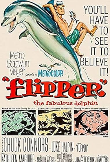 Famous trivia from Hollywood movie : Flipper (1963)