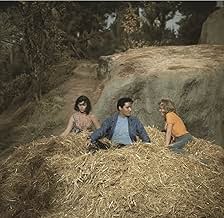 Famous trivia from Hollywood movie : Kissin' Cousins (1964)
