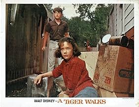 Famous trivia from Hollywood movie : A Tiger Walks (1964)