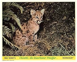 Famous trivia from Hollywood movie : Charlie, the Lonesome Cougar (1967)