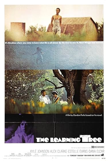 Famous trivia from Hollywood movie : The Learning Tree (1969)