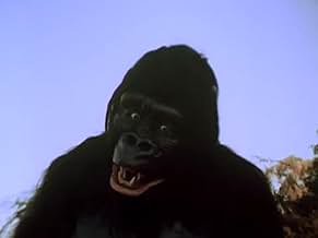 Famous trivia from Hollywood movie : The Mighty Gorga (1969)