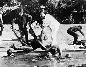 Famous quotes from Hollywood movie : Black Caesar (1973)