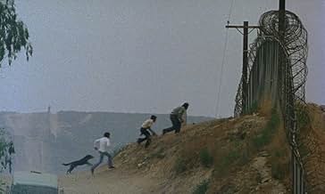 Famous trivia from Hollywood movie : Alambrista! (1977)