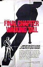 Famous quotes from Hollywood movie : Final Chapter: Walking Tall (1977)