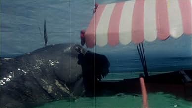 Famous trivia from Hollywood movie : Up from the Depths (1979)