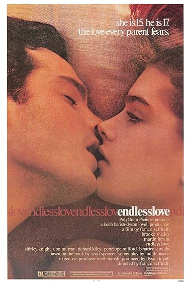 Famous trivia from Hollywood movie : Endless Love (1981)