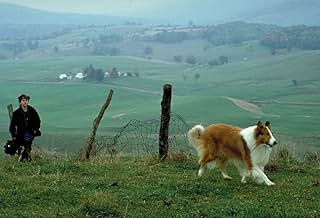 Famous trivia from Hollywood movie : Lassie (1994)