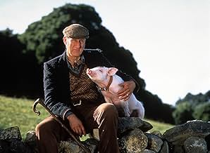Famous trivia from Hollywood movie : Babe (1995)