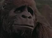 Famous quotes from Hollywood movie : Born to Be Wild (1995)