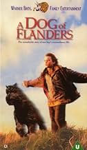 Famous trivia from Hollywood movie : A Dog of Flanders (1999)