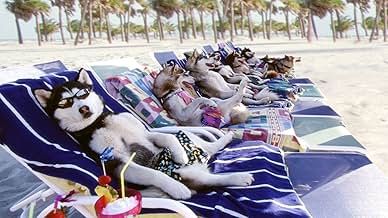 Famous quotes from Hollywood movie : Snow Dogs (2002)