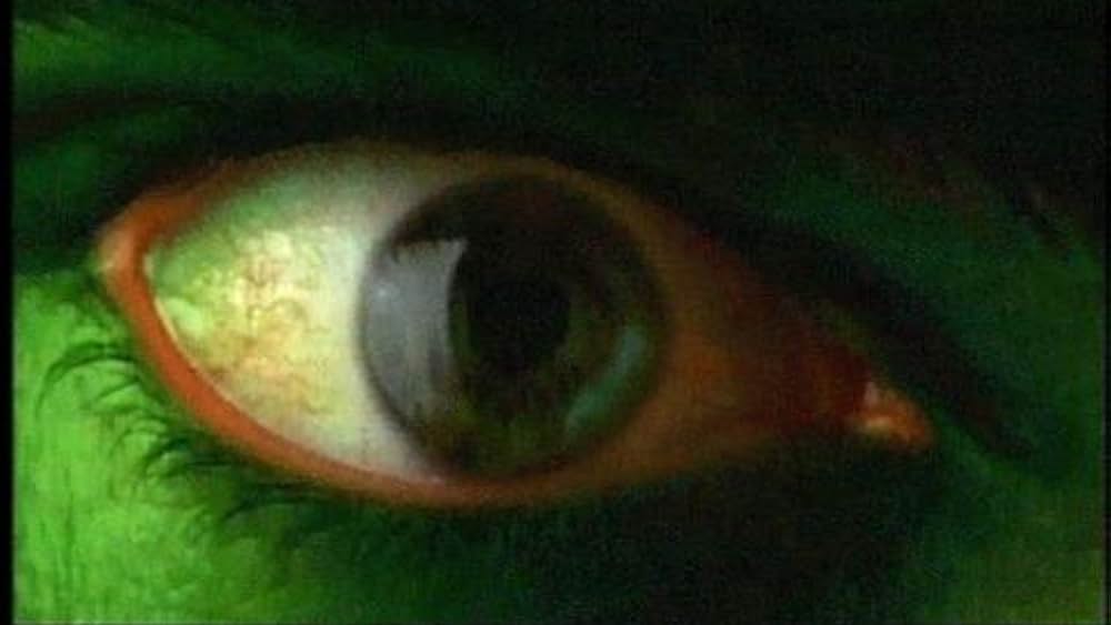 Famous trivia from Hollywood movie : Hulk (2003) - Part (6)