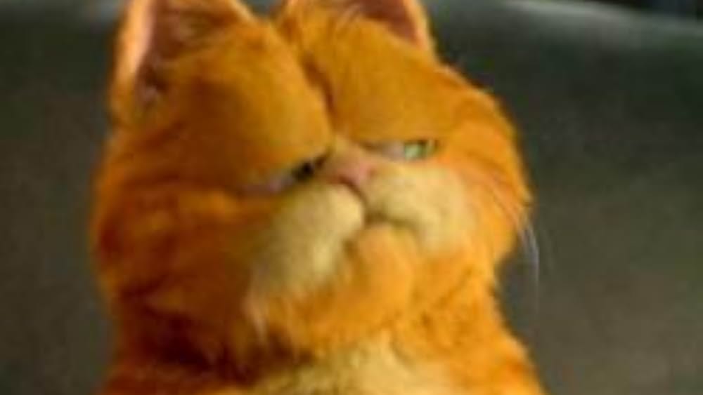 Famous trivia from Hollywood movie : Garfield (2004) - Part (2)