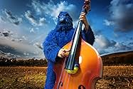 Famous trivia from Hollywood movie : The Adventures of Sass Parilla the Singing Gorilla (2005)