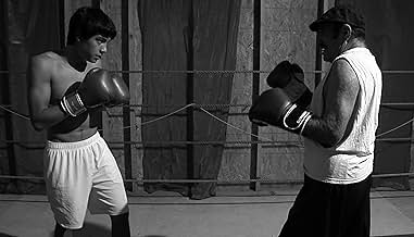 Famous trivia from Hollywood movie : Campeon: A Journey of the Heart (2009)